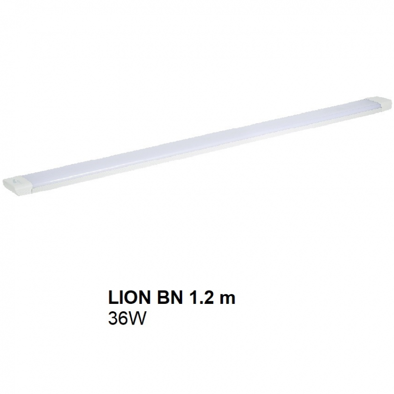 LION BN 1.2m 36W