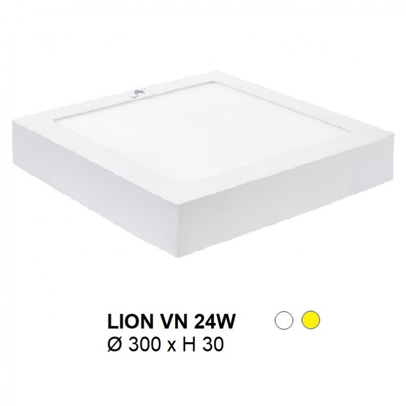 LION VN 24W